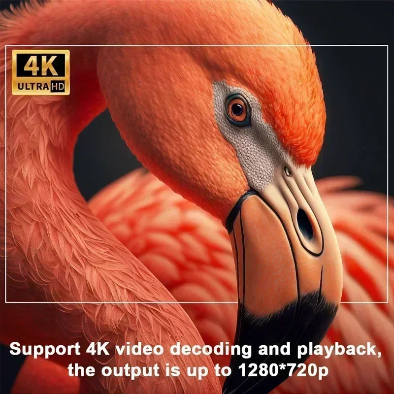 VisionMax 4K™